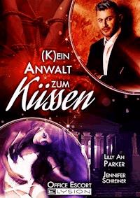 Kein Anwalt zum Küssen - Lilly An Parker - E-Book