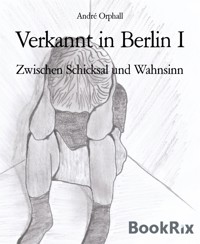 Verkannt in Berlin I - André Orphall - E-Book