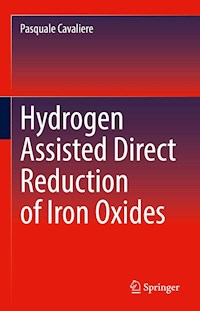 Hydrogen Assisted Direct Reduction of Iron Oxides - Pasquale Cavaliere - E-Book