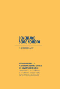 Comentario sobre ngöndro - Chagdud Khadro - E-Book