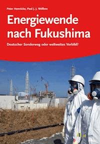Energiewende nach Fukushima - Peter Hennicke - E-Book