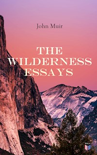 The Wilderness Essays - John Muir - E-Book