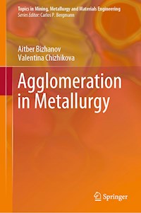 Agglomeration in Metallurgy - Aitber Bizhanov - E-Book