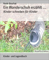 Ein Wanderschuh erzählt .... - Nade Brachat - E-Book