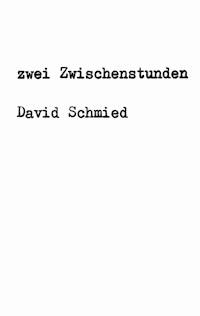 zwei Zwischenstunden - David Schmied - E-Book