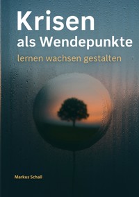 Krisen als Wendepunkte - Markus Schall - E-Book