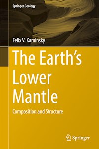 The Earth's Lower Mantle - Felix V. Kaminsky - E-Book