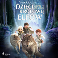 Dzieci królowej elfów 3 – Ścigani bez końca - Peter Gotthardt - Hörbuch