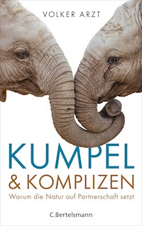 Kumpel und Komplizen - Volker Arzt - E-Book