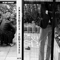 Schumanski & Tappers (Teil 2) - Rob Hotson - Hörbuch