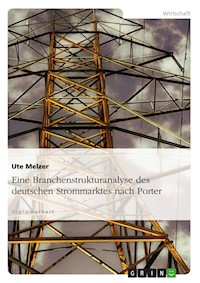 Eine Branchenstrukturanalyse des deutschen Strommarktes nach Porter - Ute Melzer - E-Book