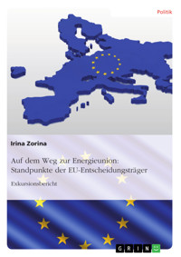 Auf dem Weg zur Energieunion: Standpunkte der EU-Entscheidungsträger - Irina Zorina - E-Book