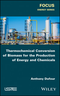 Thermochemical Conversion of Biomass for the Production of Energy and Chemicals - Anthony Dufour - E-Book