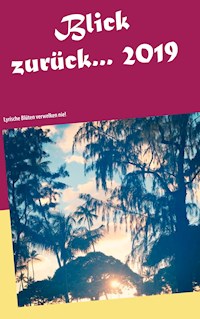 Blick zurück 2019... -  - E-Book