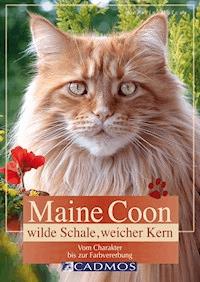Maine Coon - Wilde Schale weicher Kern - Kerstin Malcus - E-Book
