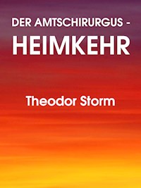 Der Amtschirurgus - Heimkehr - Theodor Storm - E-Book