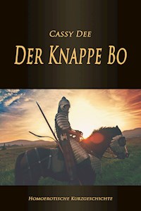 Der Knappe Bo - Cassy Dee - E-Book