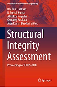 Structural Integrity Assessment -  - E-Book