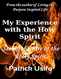 My Experience with the Holy Spirit - patrick Usifo - E-Book