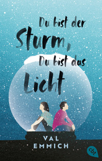 Du bist der Sturm, du bist das Licht - Val Emmich - E-Book
