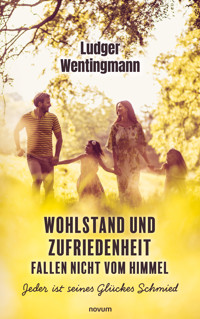Wohlstand und Zufriedenheit fallen nicht vom Himmel - Ludger Wentingmann - E-Book