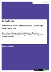 Wie beeinflusst Gesundheit die Lebenslage von Menschen - Janina heinig - E-Book