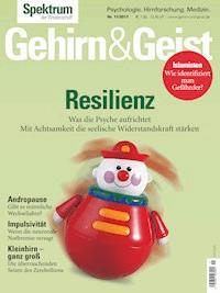 Gehirn&Geist 11/2017 - Resilienz - - E-Book