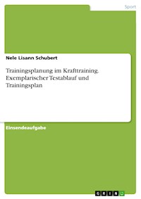 Trainingsplanung im Krafttraining. Exemplarischer Testablauf und Trainingsplan - Nele Lisann Schubert - E-Book