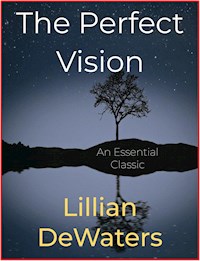 The Perfect Vision - Lillian DeWaters - E-Book