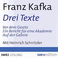 Drei Texte von Franz Kafka - Franz  kafka - Hörbuch