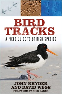 Bird Tracks - John Rhyder - E-Book