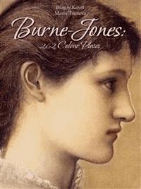 Burne-Jones: 262 Colour Plates - Blagoy Kiroff - E-Book