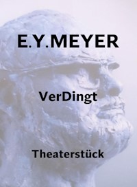 VerDingt - E. Y. Meyer - E-Book