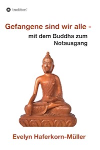 Gefangene sind wir alle - Evelyn Haferkorn-Müller - E-Book