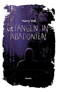 Gefangen in Abadonien - Harry Voß - E-Book