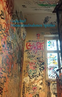 Gedichte? Momentaufnahmen Splitter - Domingo Mendo - E-Book