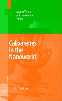 Calixarenes in the Nanoworld -  - E-Book