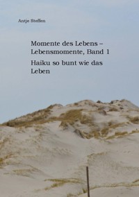 Momente des Lebens - Lebensmomente, Band 1 - Antje Steffen - E-Book