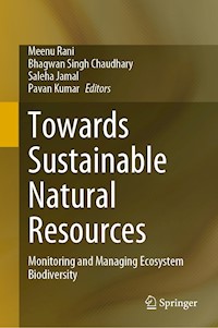 Towards Sustainable Natural Resources -  - E-Book