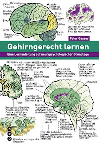 Gehirngerecht lernen (E-Book) - Peter Gasser - E-Book