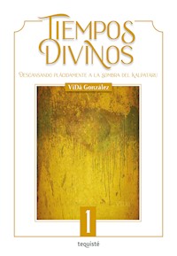 Tiempos Divinos - VïDâ González - E-Book