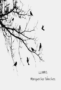 Llamas - Morquecho Sanchéz - E-Book