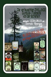 die vertauschten ZWILLINGE - RAYMONDi - E-Book