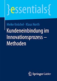 Kundeneinbindung im Innovationsprozess – Methoden - Meike Knöchel - E-Book