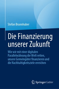 Die Finanzierung unserer Zukunft - Stefan Brunnhuber - E-Book