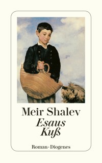 Esaus Kuß - Meir Shalev - E-Book