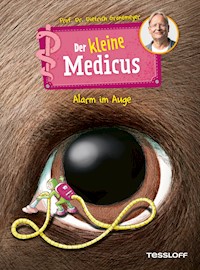 Der kleine Medicus. Band 8. Alarm im Auge - Dietrich Grönemeyer - E-Book