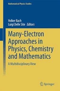 Many-Electron Approaches in Physics, Chemistry and Mathematics -  - E-Book