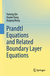 Prandtl Equations and Related Boundary Layer Equations - Yuming Qin - E-Book