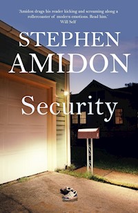 Security - Stephen Amidon - E-Book